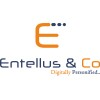 Entellus & Co