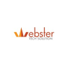 Webster Tech Solutions INC