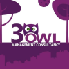 3Owl Management Consultancy
