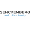 Senckenberg Gesellschaft für Naturforschung