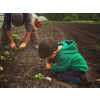 Organic & biodynamic farming