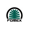 Forex inc