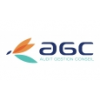 AUDIT GESTION CONSEIL