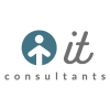 IT CONSULTANTS