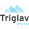 IT OSS FTTH Application Owner (IT) / Freelance