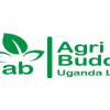 Agri-Buddy Uganda Jobs 2021