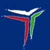 Fundació Tallers-logo