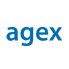 agex IT gmbh