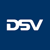 DSV Road-logo