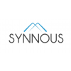 Synnous Consulting GmbH