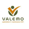 VALEMO France Jobs Expertini