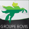 Groupe Bovis