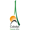 Cobalys