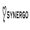 GRUPPO-SYNERGO-logo