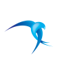 Banco de Talentos (PCD)