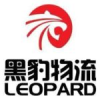 Chinese Translator