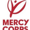 Deputy Team Lead – Policy & Institutional Systems