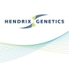 Directeur des opérations H / F
