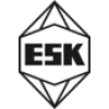 ESK - SIC GmbH