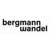 bergmannwandel GmbH
