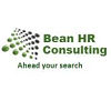 Senior Business Analyst