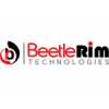 BeetleRim - Senior Power BI Developer