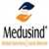 Medusind Solutions - Agentic AI Technical Lead
