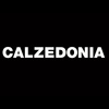 Calzedonia Hong Kong Limited