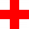Programme Executive (Community Health Education Project)
