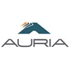 Auria Solutions GmbH-logo