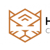 Cybersecurity Consultant
