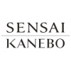 Kanebo Cosmetics Deutschland GmbH