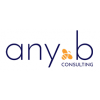 any.b Consulting GmbH
