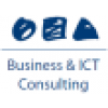 Business & ICT Consulting