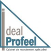 IDEAL PROFEEL