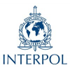 INTERPOL Argentina Jobs Expertini