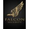 Falcon security, s.r.o.