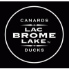 Canards du Lac Brome