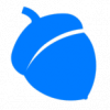 Blue Acorn iCi-logo