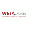 Whizants