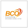 BCO Consulting-logo