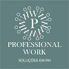 Professional Work-logo