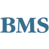 BMS Sales Performance