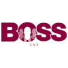 BOSS ERP Consulting