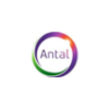 Antal International