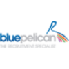 Blue Pelican