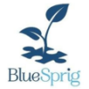 BlueSprig