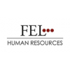 FEL GmbH-logo