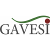 GAVESI Event & Catering