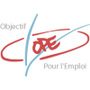 Chargé.e d’insertion professionnelle